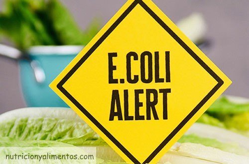 bacteria e coli y alimentacion