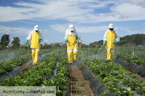 frutas y verduras contaminadas pesticida