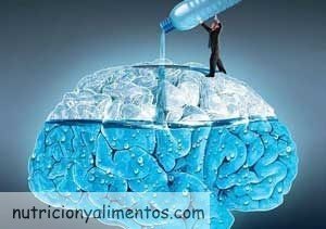 beber agua cerebro