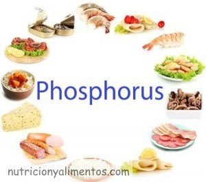 Las funciones del fósforo en el organismo
