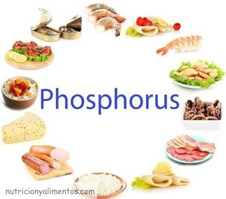 el fosforo alimentación