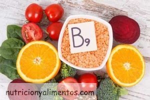 La Vitamina B9 o Ácido Fólico